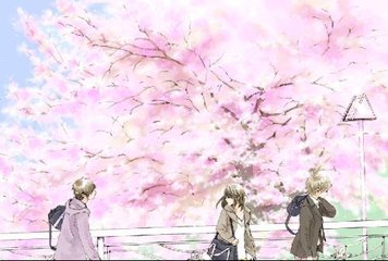 含羞草fi11中转页